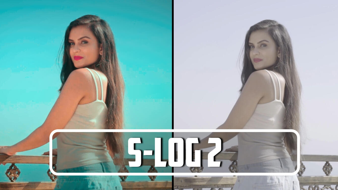 S LOG 2 SAMPLE